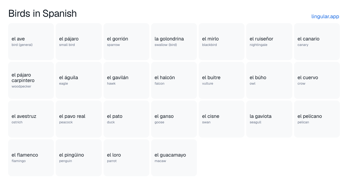 Birds in Spanish chart with English meanings and Spanish answers