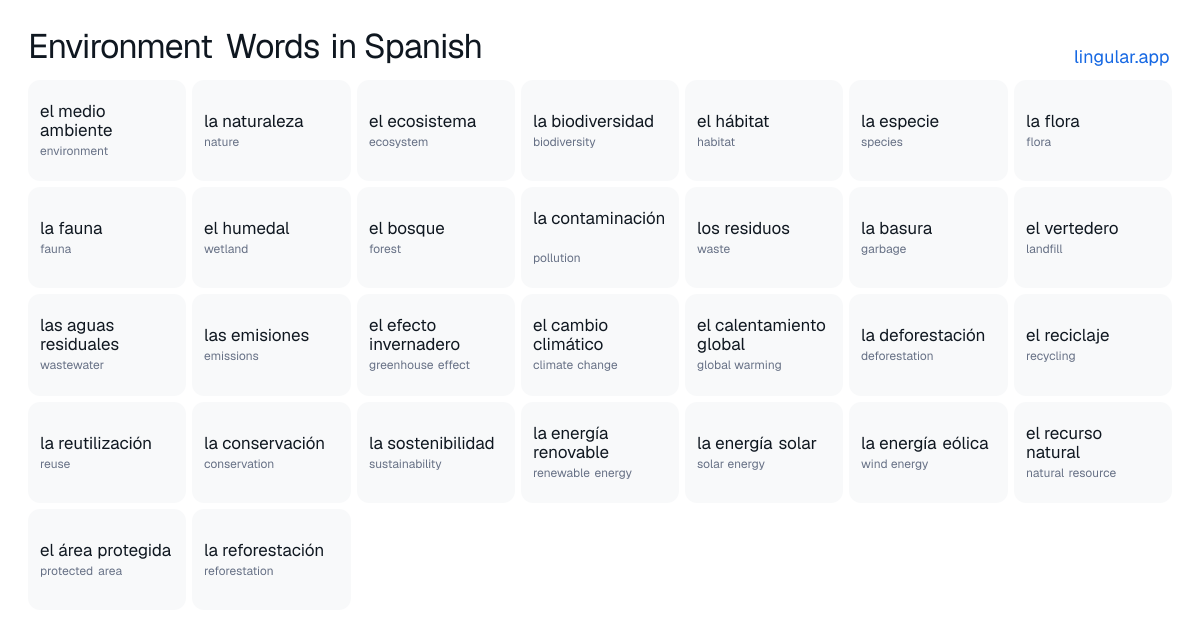 Environment Words in Spanish chart with English meanings and Spanish pronunciation