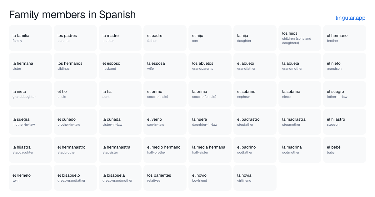 Chart of family members in Spanish with English meanings, from la madre (mother) to la novia (girlfriend)