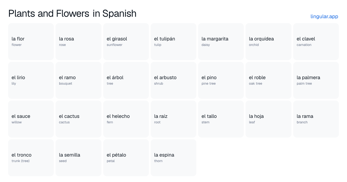 Plants and Flowers in Spanish chart with English meanings and Spanish answers