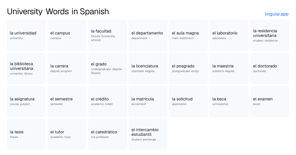 University Words in Spanish chart with English meanings and Spanish answers